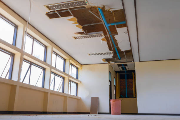 Best Water damage restoration insurance claims  in Tampa, FL