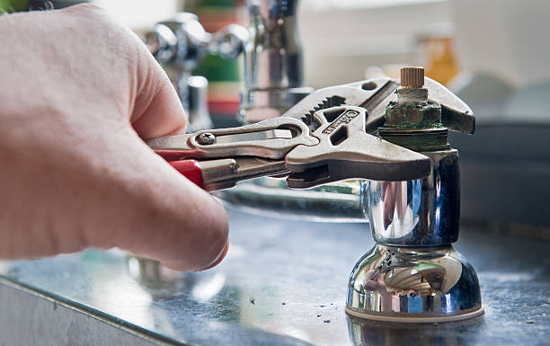 Best Flooded house restoration  in Tampa, FL