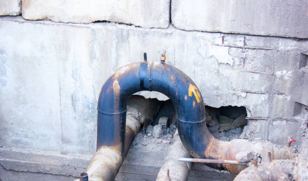 Best Carpet water damage restoration  in Tampa, FL
