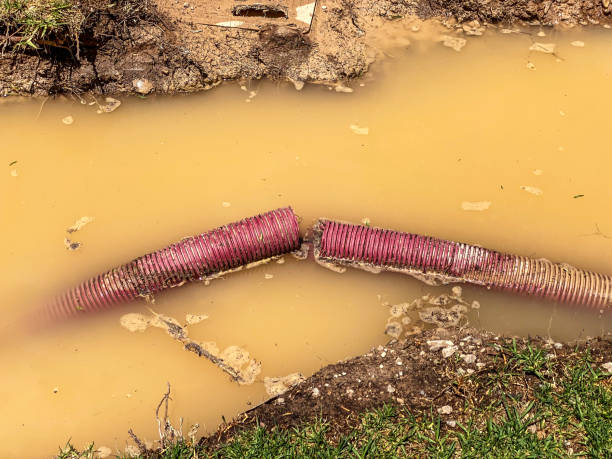 Best Basement water damage restoration  in Tampa, FL