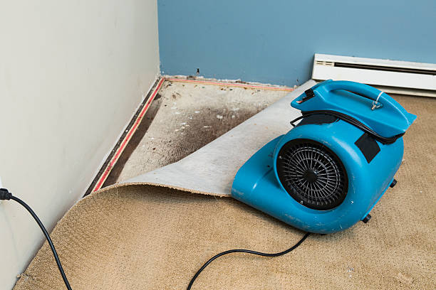 Best Water damage restoration near me  in Tampa, FL
